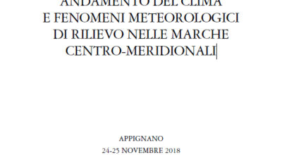 immagine dell'articolo