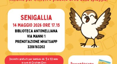 immagine dell'articolo
